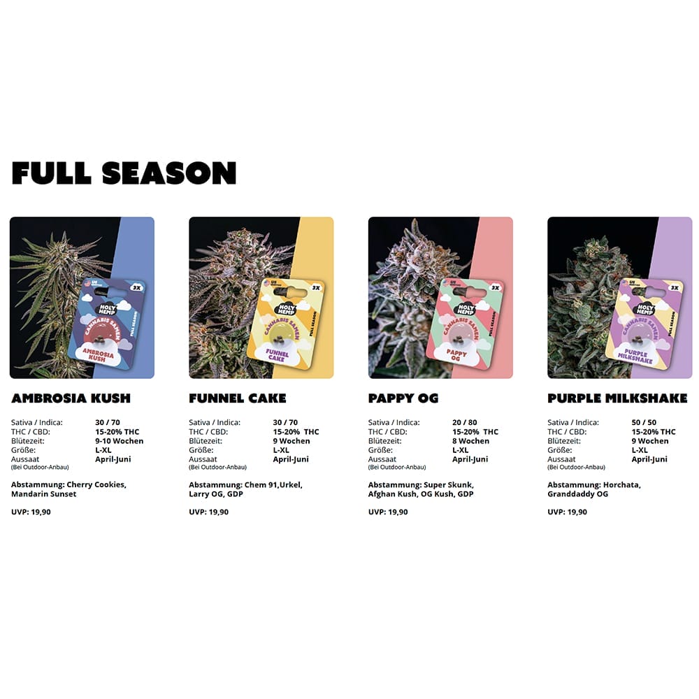 Holy Hemp - Cali Seeds Thekendisplay
